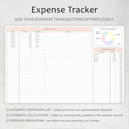Daylio Simple Budget Planner